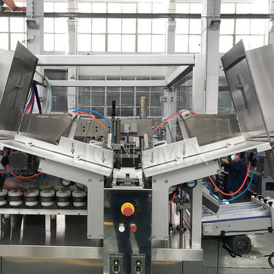 Automatic High Speed Two Heads Tube Filling Sealing Carton Packing Machine